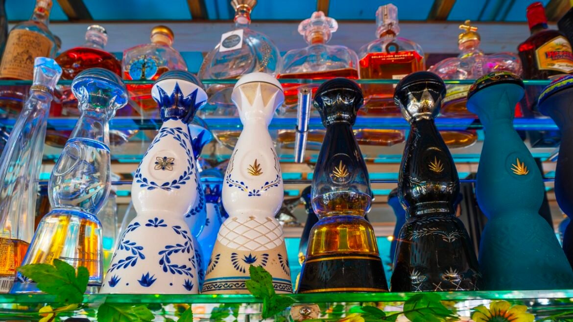 🍹🌵 Savoring the Spirit of Mexico: A Toast to Tequila 🌵🍹